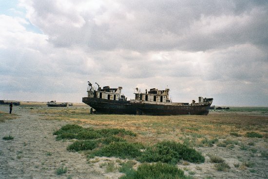 Aral7.jpg