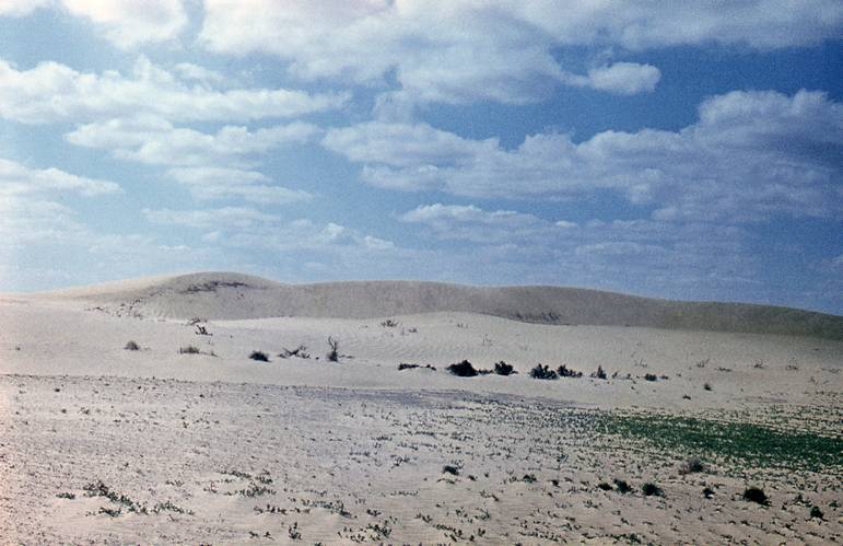 Aral Land 05-web.jpg