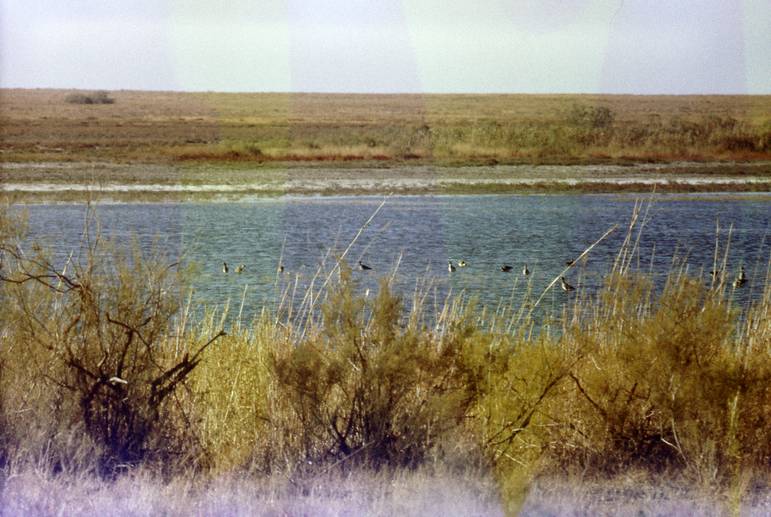 Aral Land 08-web.jpg