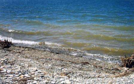 Аральское Море прибывающее и возрождающее, фото 2006 года